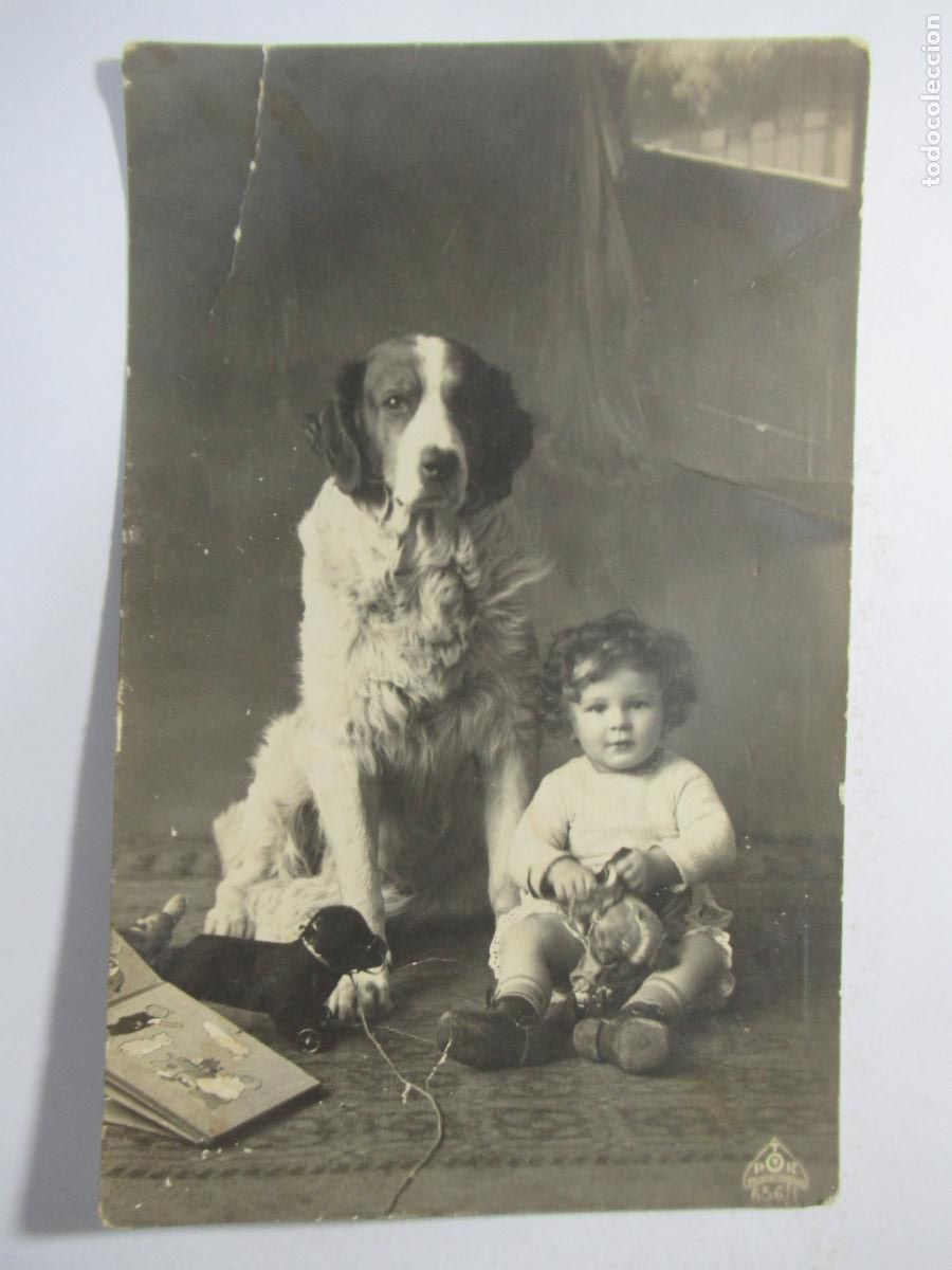 Postales: Antigua postal ni&ntilde;a y perro - escrita - Foto 1