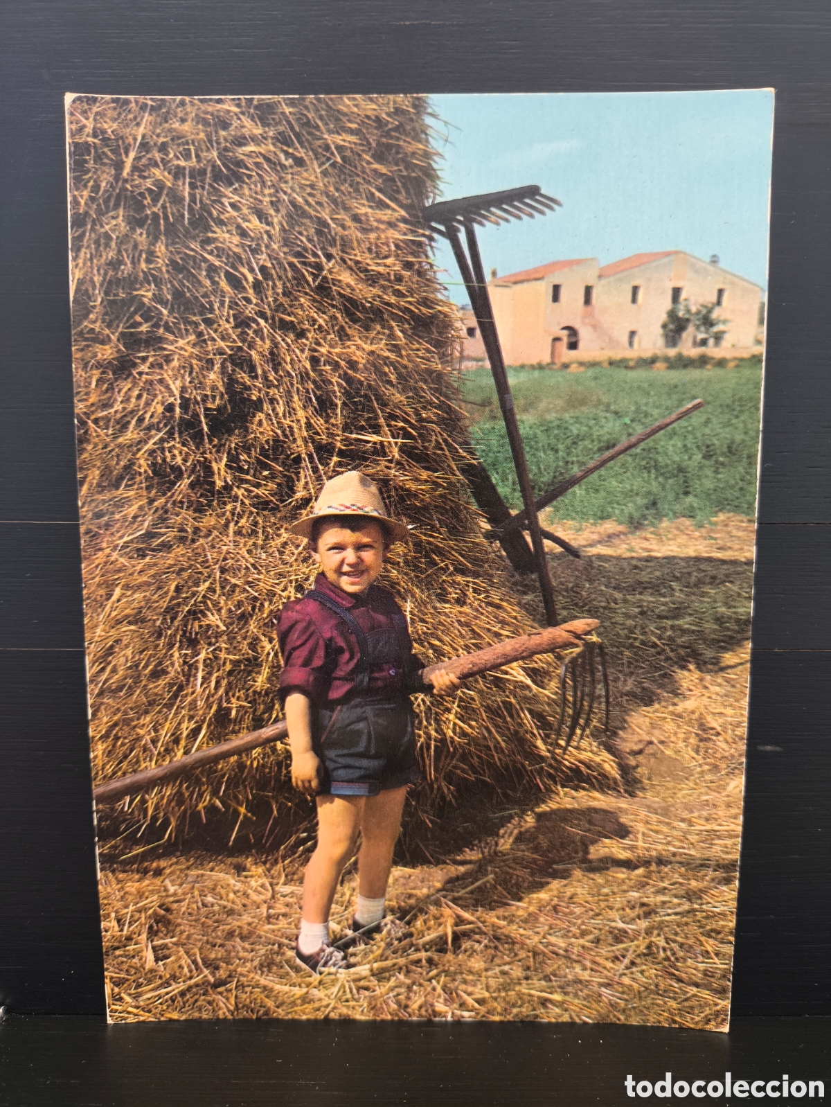Postales: Postal fotogr&aacute;fica retrato ni&ntilde;o ni&ntilde;a escena rural granjero rastrillo Ed. Pergamino 186