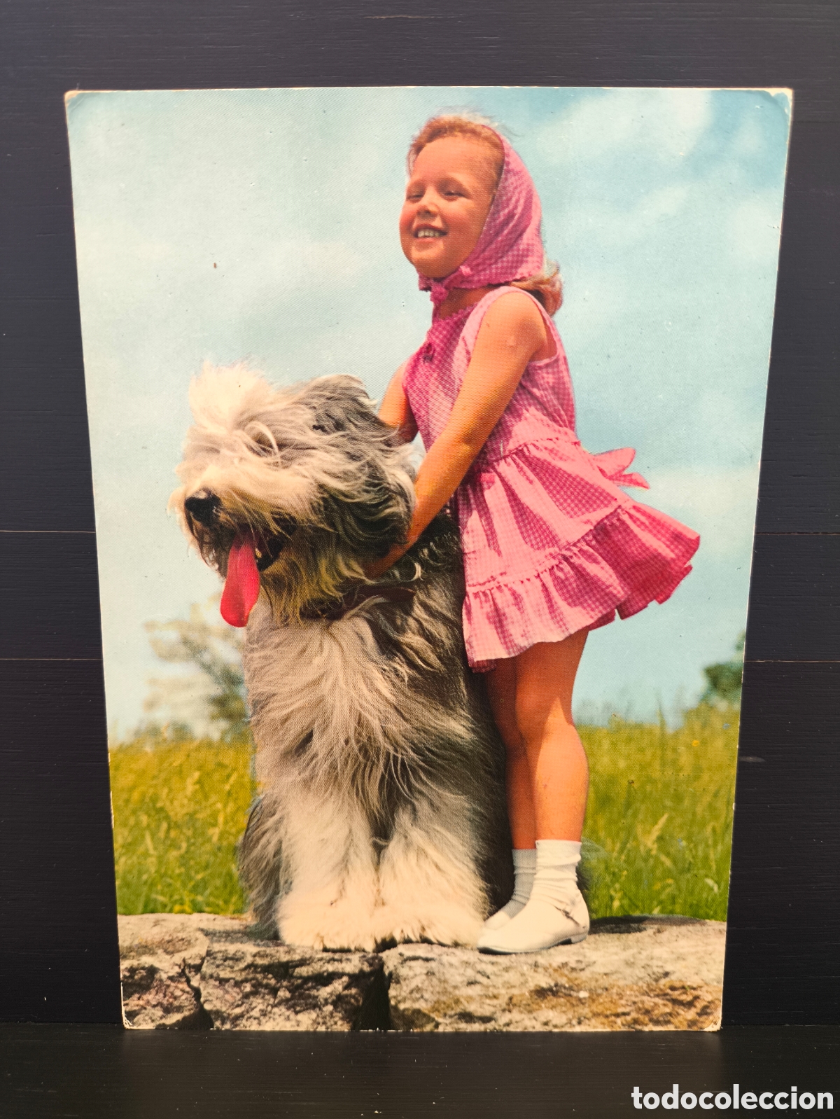 Postales: Postal fotogr&aacute;fica retrato ni&ntilde;o ni&ntilde;a perro Ed. C. y Z. CyZ 6614