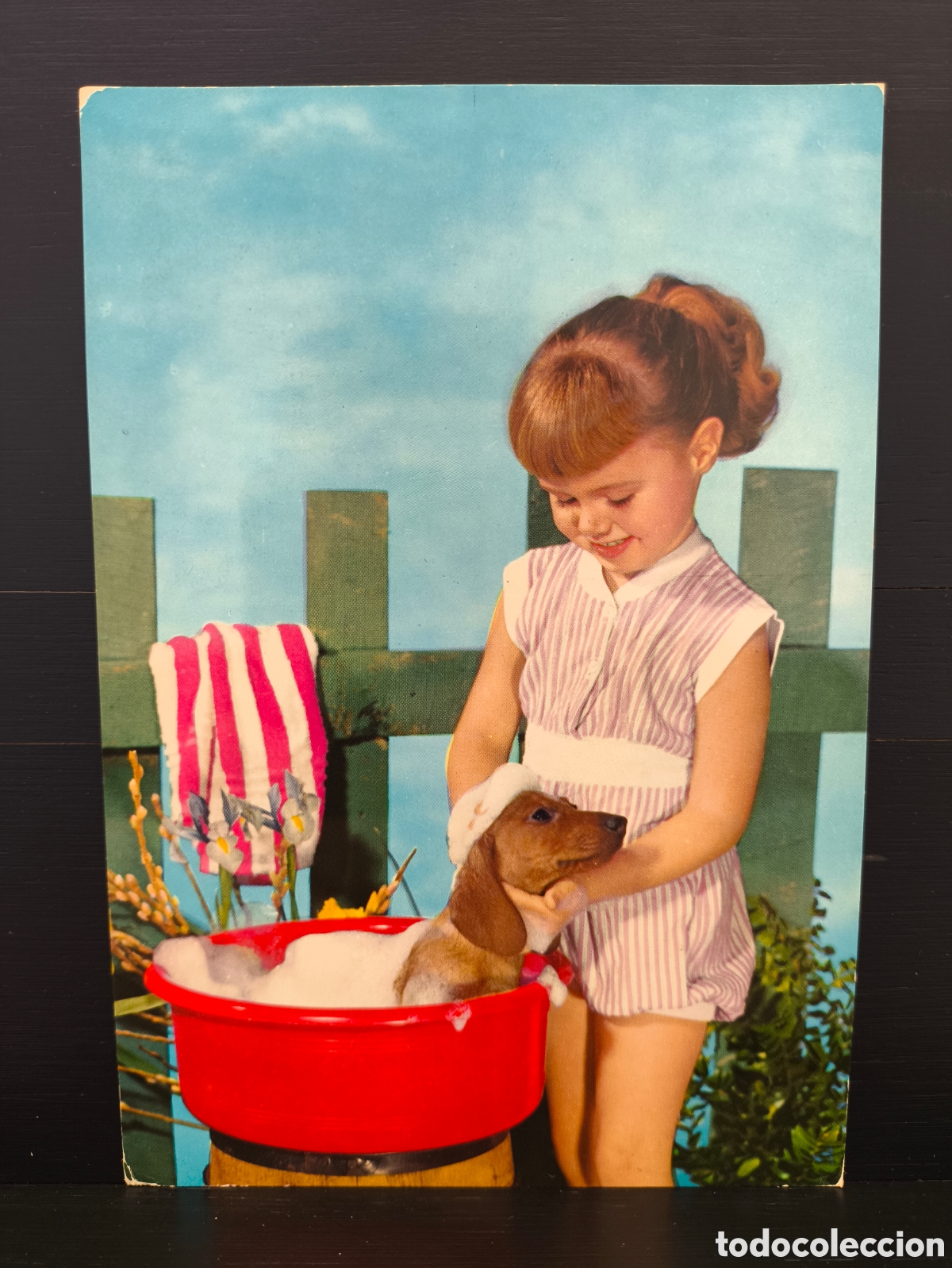 Postales: Postal fotogr&aacute;fica retrato ni&ntilde;o ni&ntilde;a cachorro perro Ed. C. y Z. CyZ 6543