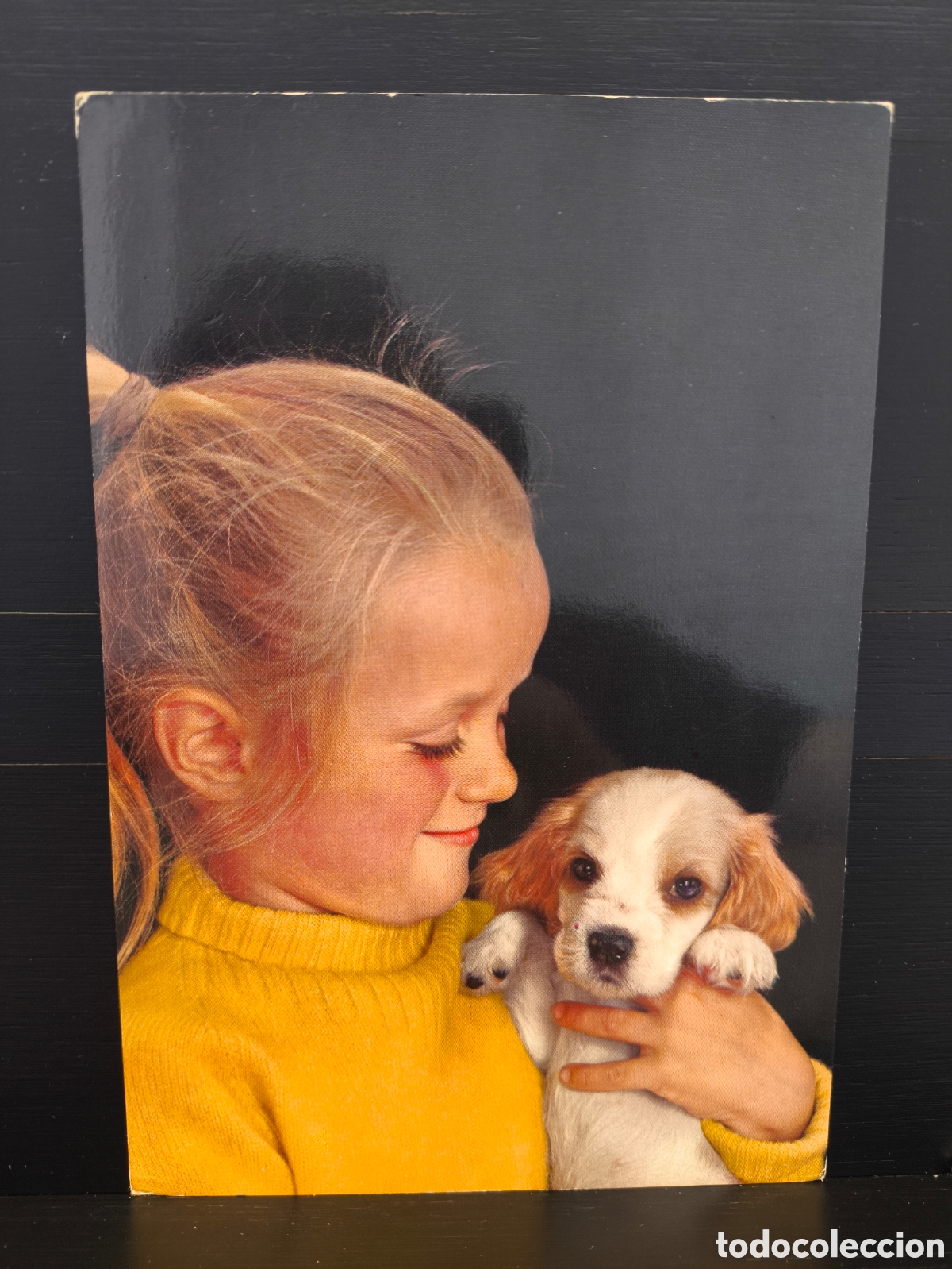 Postales: Postal fotogr&aacute;fica retrato ni&ntilde;o ni&ntilde;a cachorro perro Ed. C. y Z. CyZ 6876