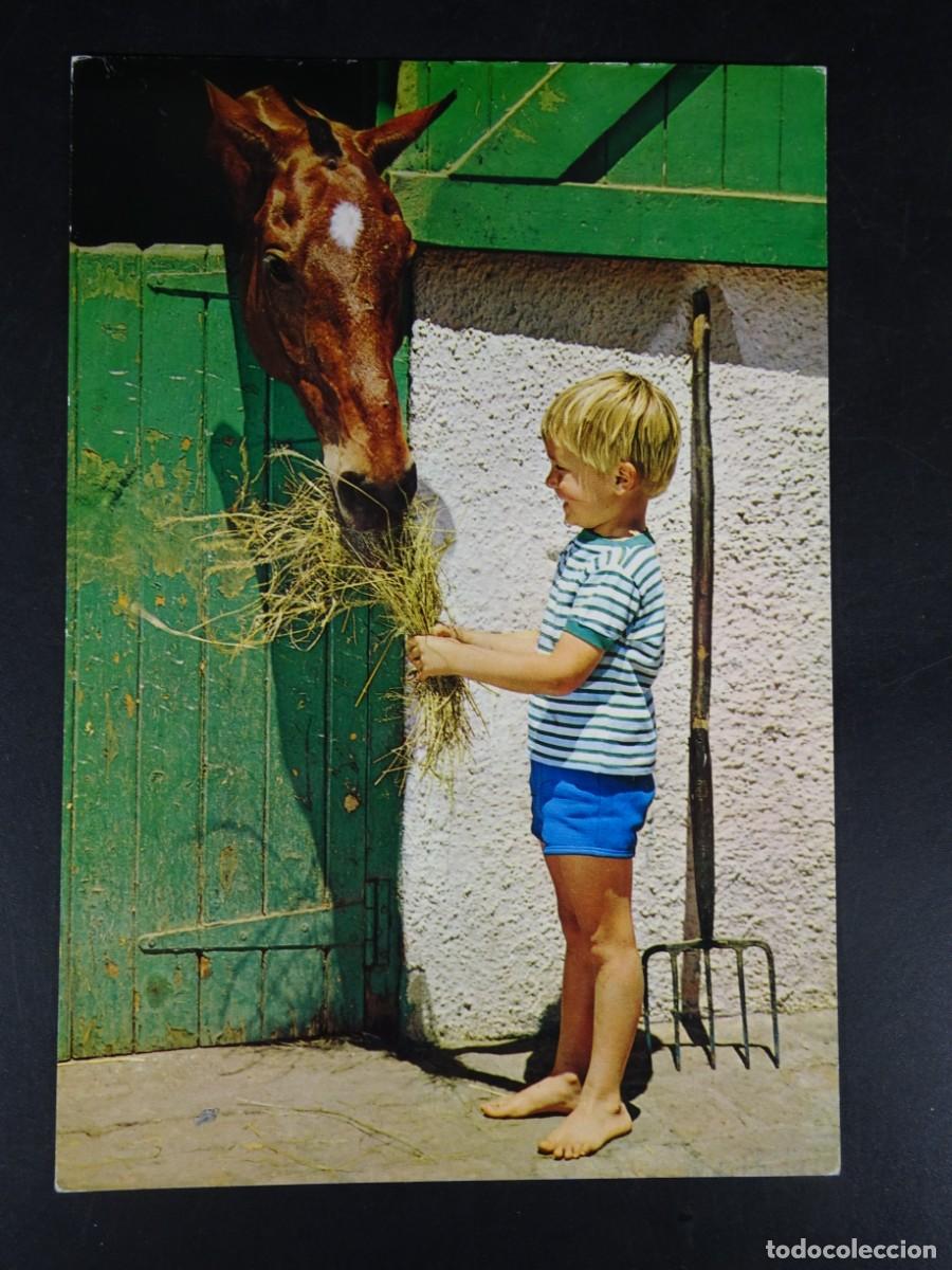 Postales: TARJETA POSTAL CPSM, NI&Ntilde;O PEQUE&Ntilde;O, CABALLO , VER FOTOS