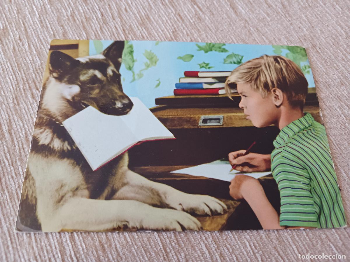 Postales: NI&Ntilde;O CON PERRO Y LIBROS, 13391/A, circulada - Foto 1