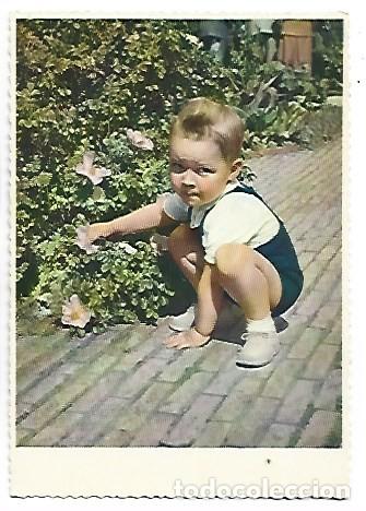 Postales: NI&Ntilde;O EN JARDIN JUNTO A LAS FLORES