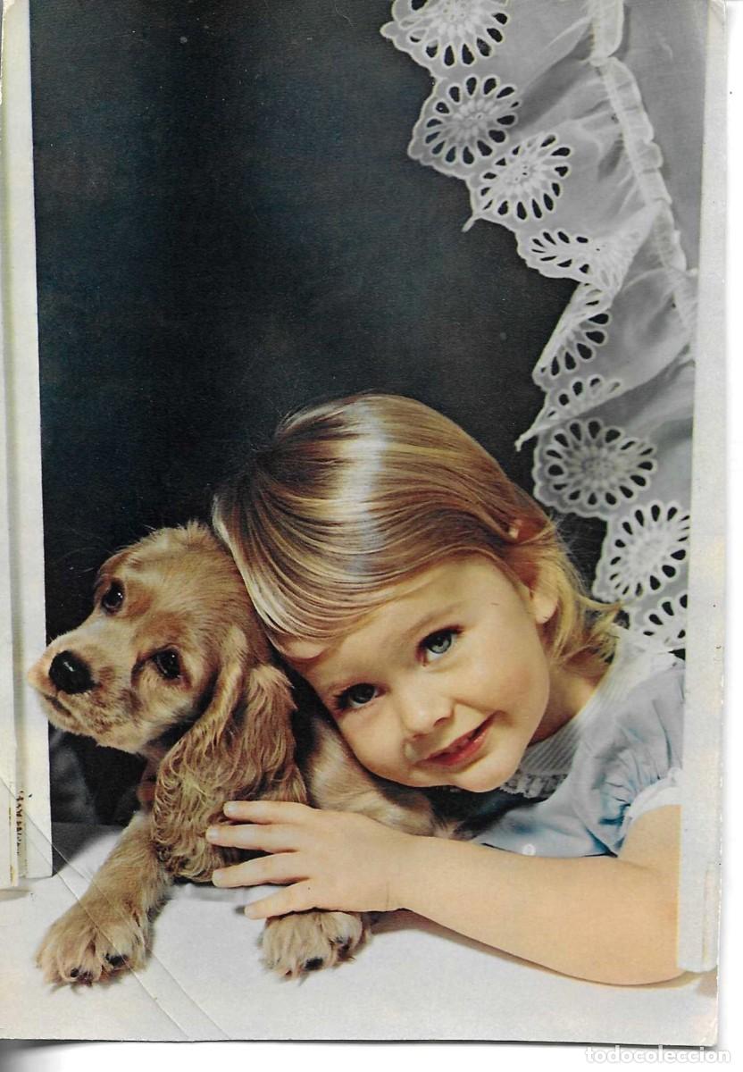Postales: &rdquo;Ni&ntilde;a con su perro&rdquo; Postal Italiana, fotogr&aacute;fica. 1950s