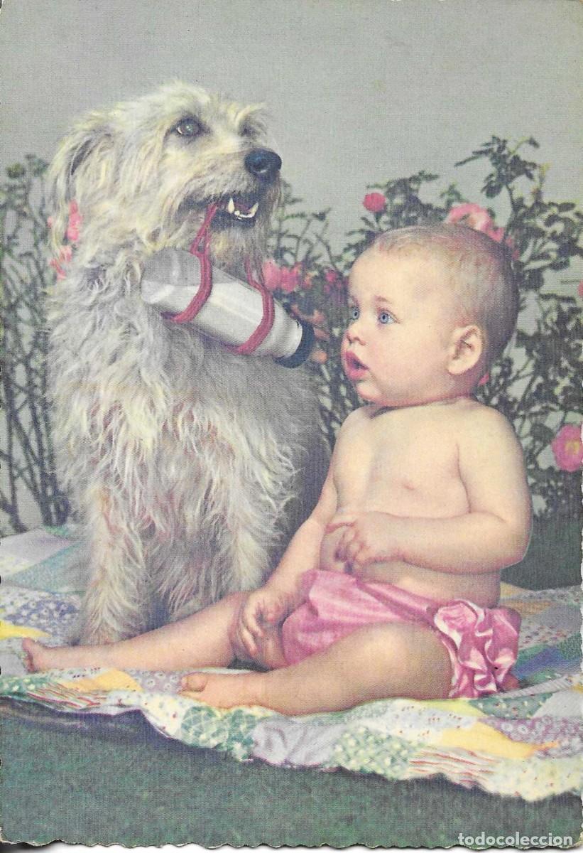 Postales: &rdquo;Beb&eacute; con perro San Bernardo&rdquo; Postal Alemana, fotogr&aacute;fica. 1950s