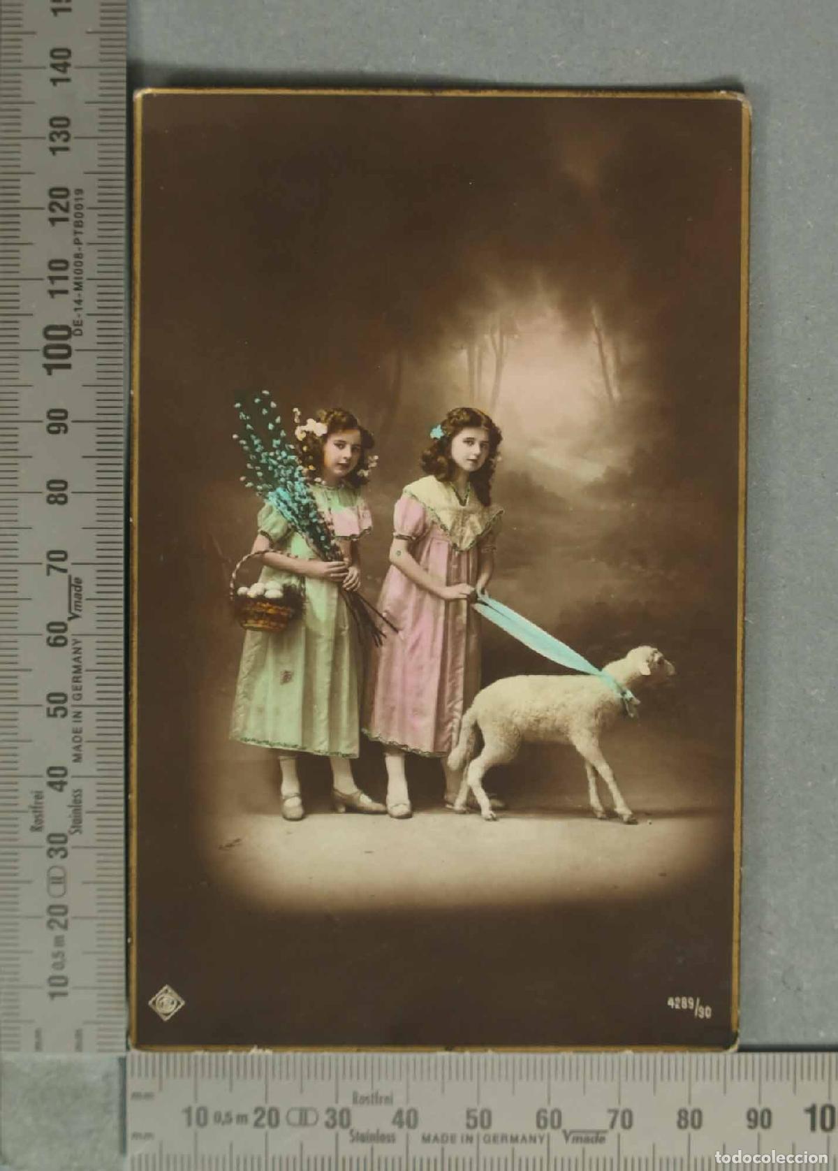 Postales: POSTAL. Ni&ntilde;as con ovejas - ILUMINADA