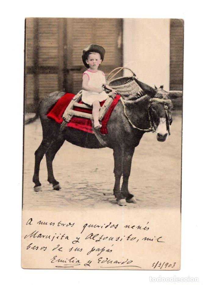 Postales: NI&Ntilde;O MONTANDO UN BURRO. FECHADA EN 1903.