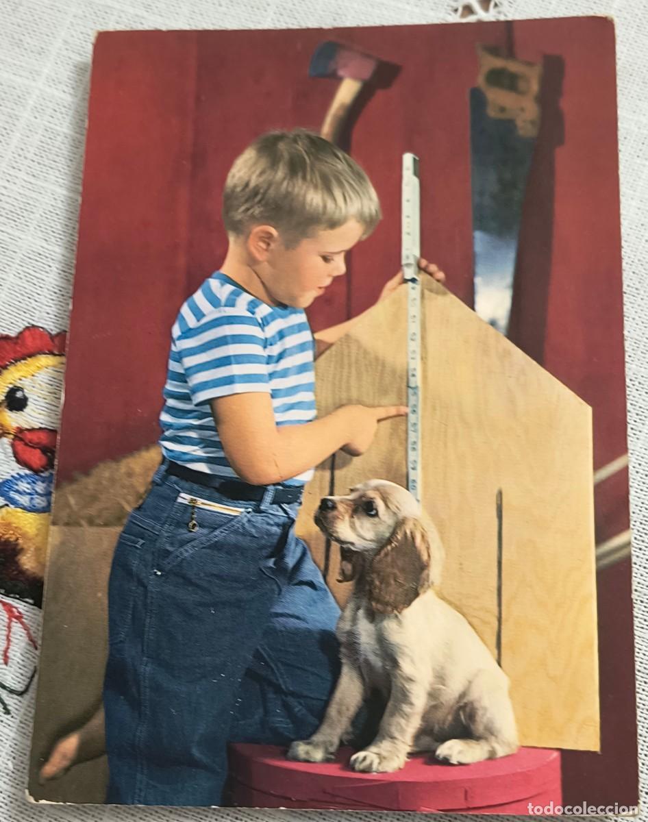 Postales: POSTAL | NI&Ntilde;O CON PERRITO / CYZ 6686