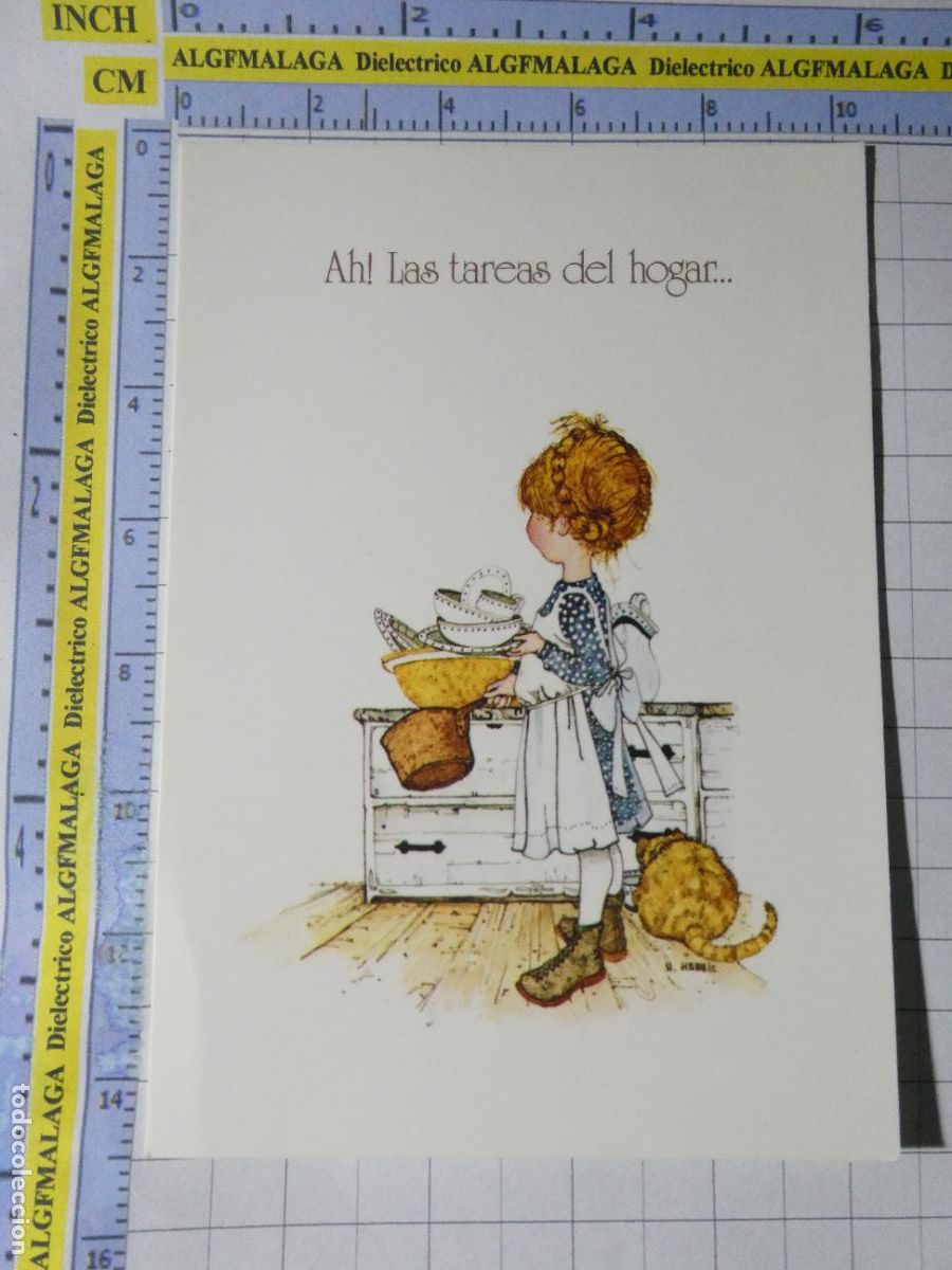 Postales: POSTAL DE NI&Ntilde;OS INFANTIL DIBUJOS. A&Ntilde;O 1977 NI&Ntilde;A COCINERA TAREAS HOGAR HOLLY HOBBIE. 2547