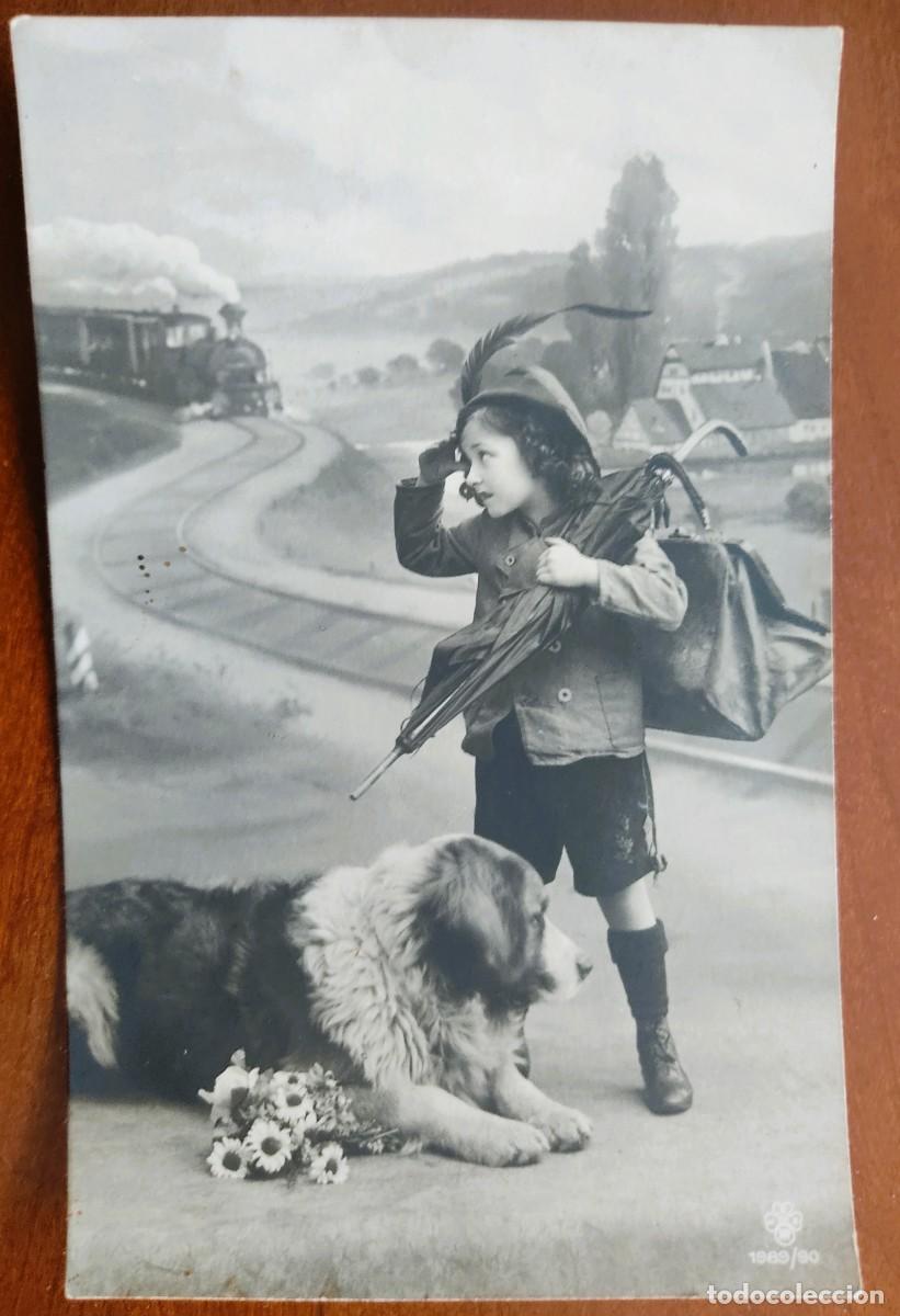 Postales: POSTAL NI&Ntilde;A CON PERRO SAN BERNARDO? - RPH 1989/90