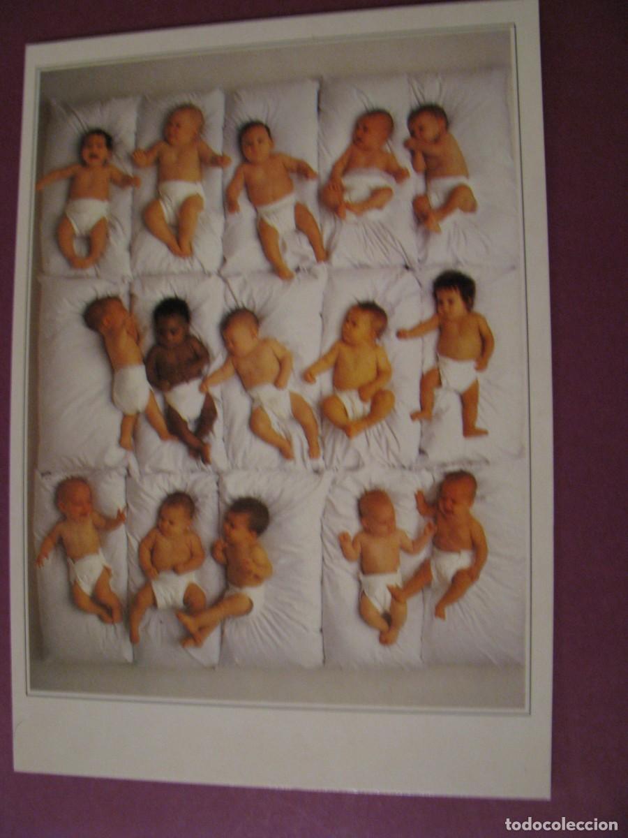 Postales: POSTAL DE STAR POSTCARD'S. BEBES