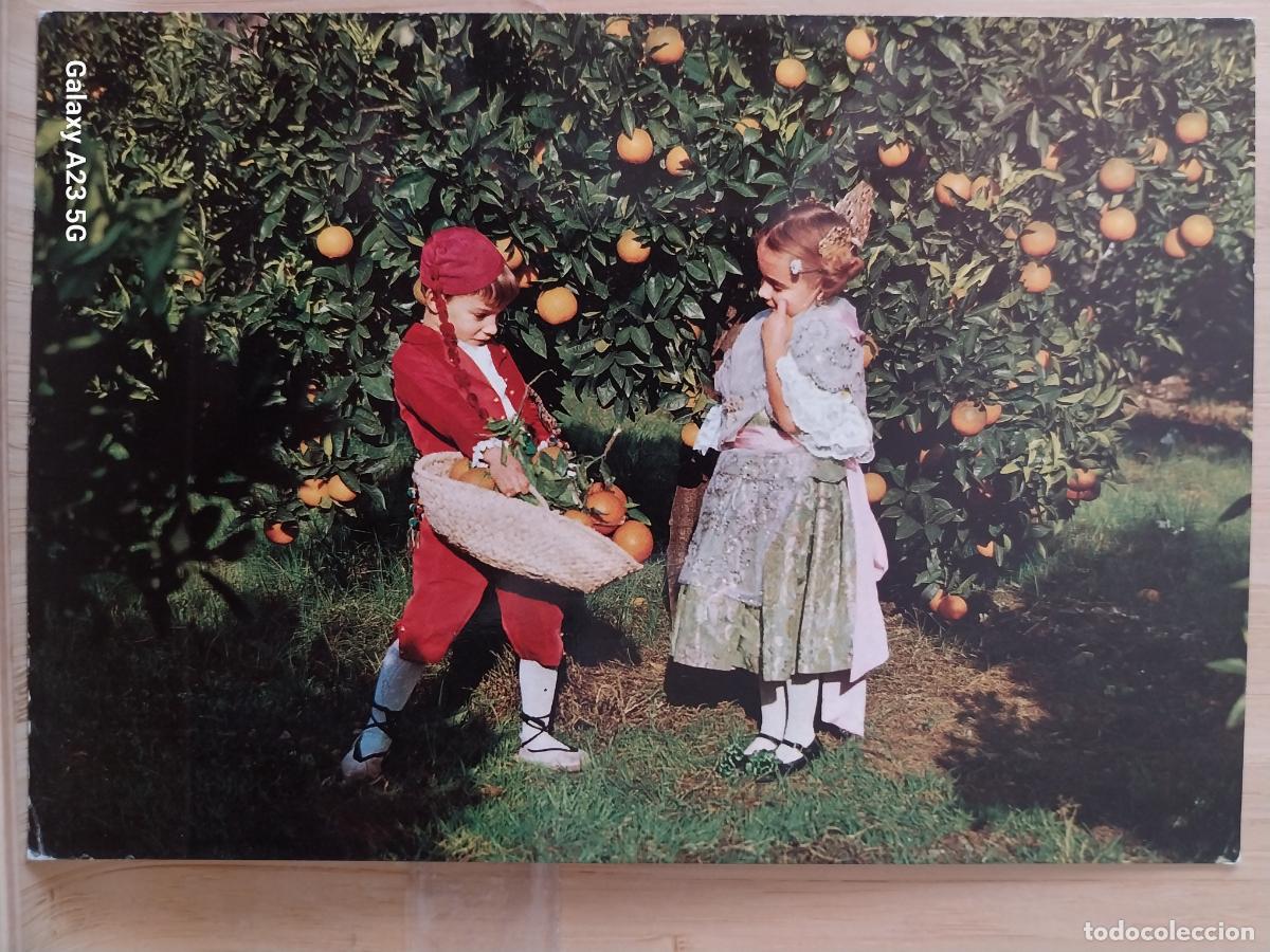 Postales: CAMPO NARANJAS NI&Ntilde;OS TRAJES REGIONALES ED DURA VELASCO 10016 SC ORIGINAL