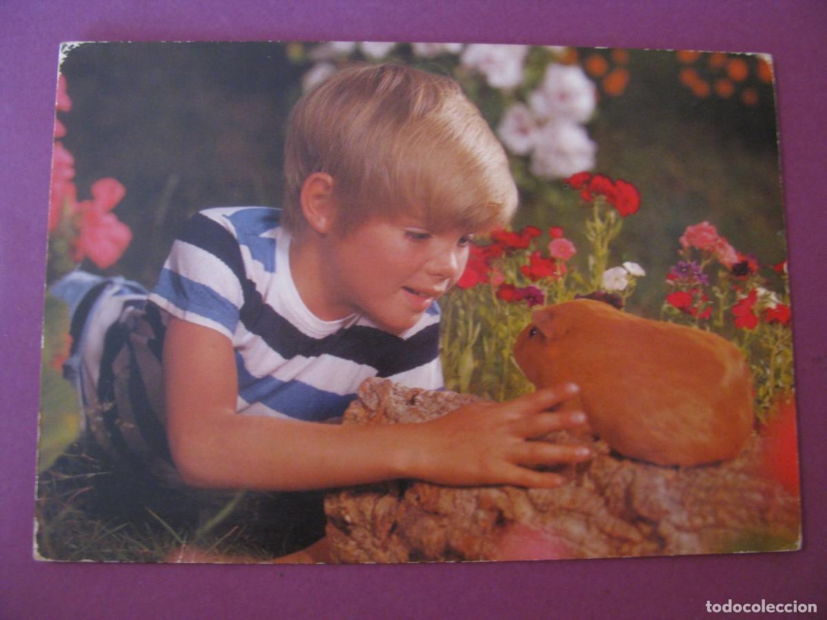 Postales: POSTAL DE UN NI&Ntilde;O CON UN CONEJILLO DE INDIAS. C. Y Z. 7502/31-D.