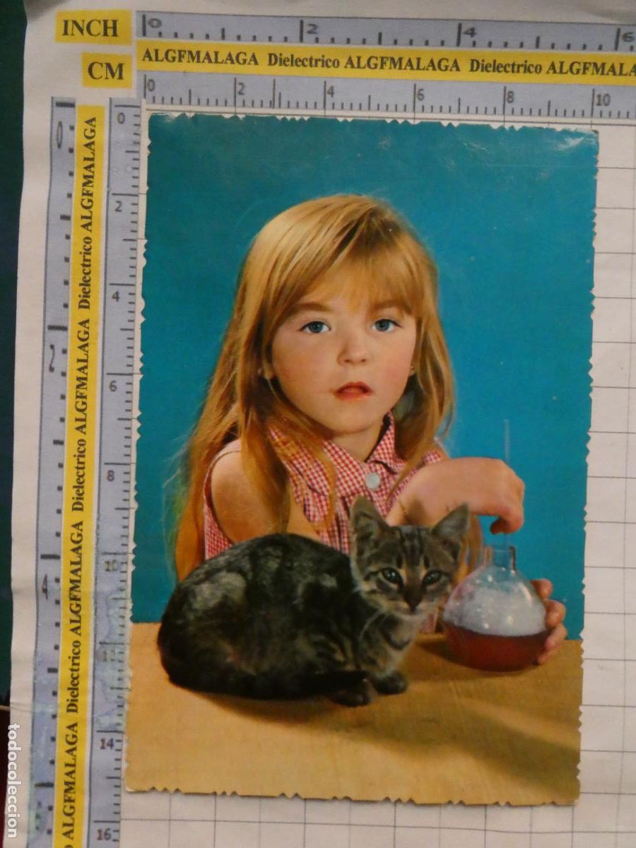 Postales: POSTAL DE NI&Ntilde;OS INFANTIL DIBUJOS. NI&Ntilde;A GATO POMPAS DE JAB&Oacute;N. 2983