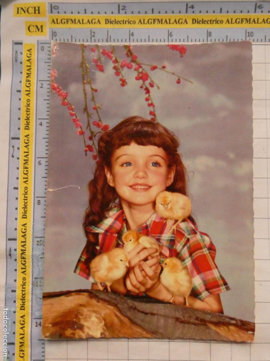Postales: POSTAL DE NI&Ntilde;OS INFANTIL DIBUJOS. NI&Ntilde;A POLLUELOS POLLITOS. 2991