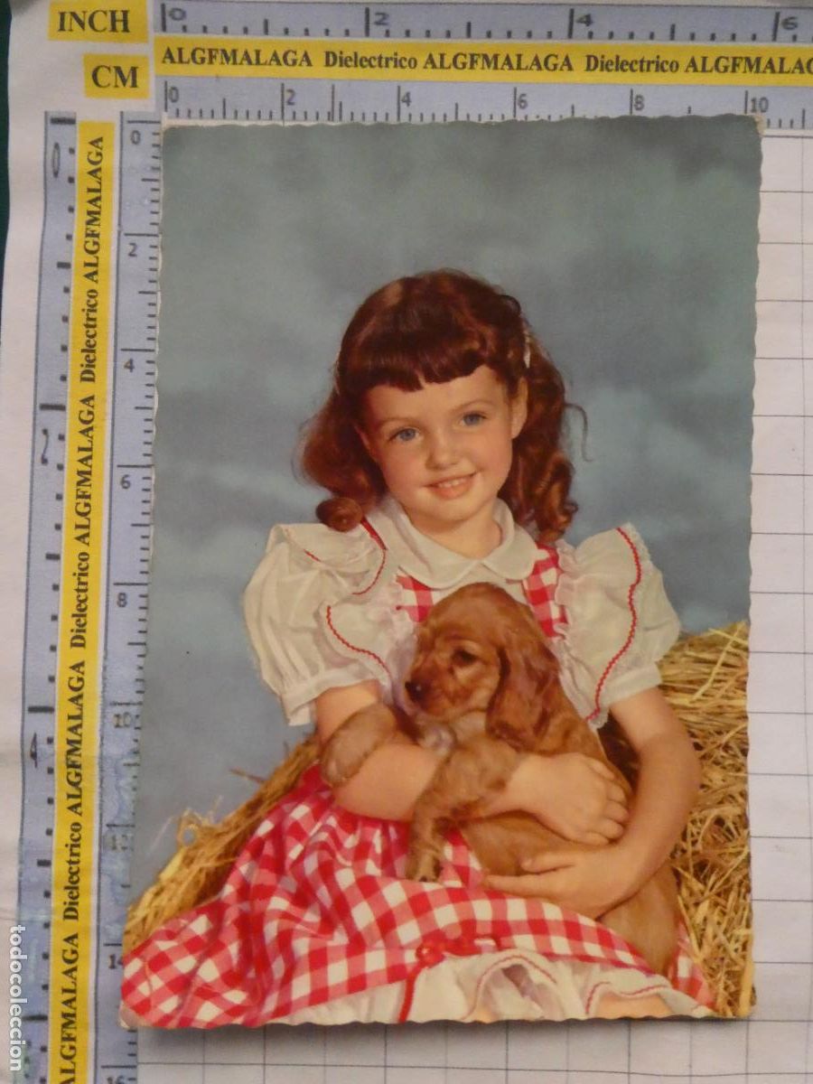 Postales: POSTAL DE NI&Ntilde;OS INFANTIL DIBUJOS. NI&Ntilde;A PERRITO PERRO. 2995