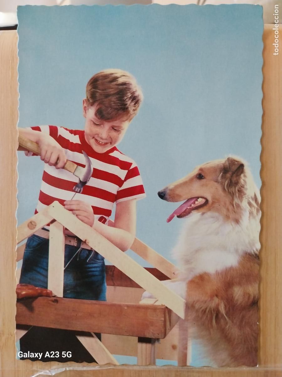 Postales: PERRO CON NI&Ntilde;O CARPINTEROS A&Ntilde;O 1964 ED CYZ 6484 ESCRITA ORIGINAL