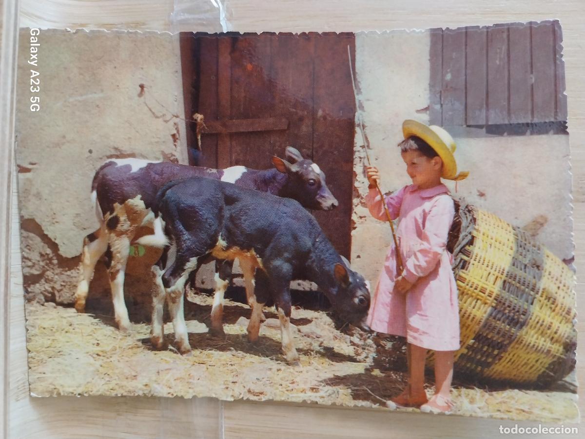 Postales: TERNEROS NI&Ntilde;A ED BARCO 13045 E ESCRITA ORIGINAL