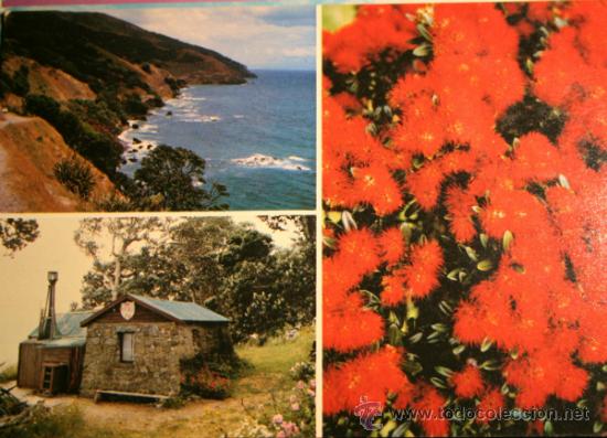 Postales: POSTAL COROMANDEL PENINSULA. SIN CIRCULAR - Foto 1