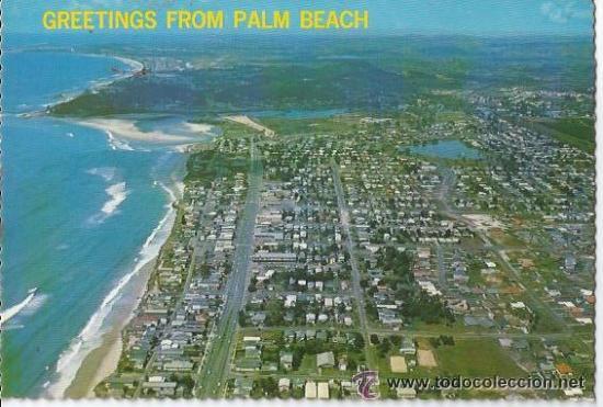 Postales: :::: PN658 - POSTAL - GREETINGS FROM PALM BEACH - Foto 1