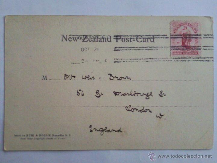 Postales: POSTAL, GARZAS, A&Ntilde;O 1905 - Foto 2