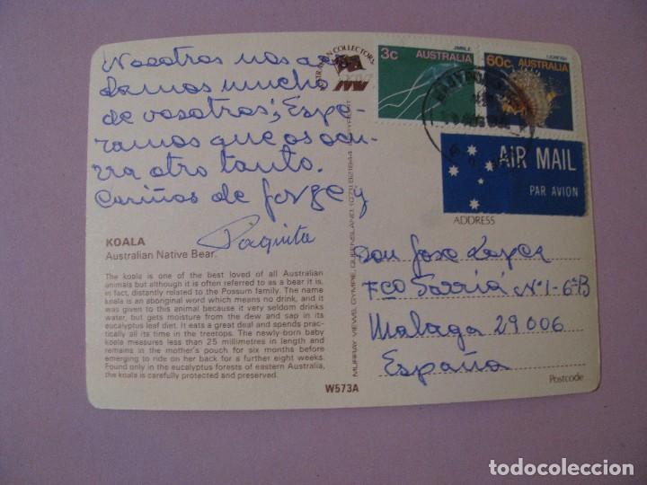 Postales: POSTAL DE AUSTRALIA. KOALA. - Foto 2