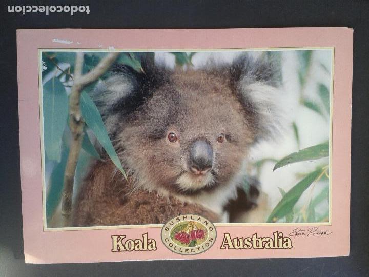 Postales: POSTAL AUSTRALIA - Foto 1