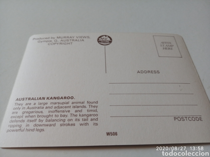 Postales: Postal Australia canguros - Foto 2