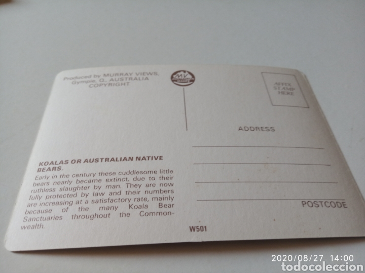 Postales: Koalas Australia postal - Foto 2