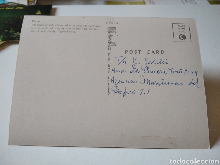 Postales: Postal koala australia - Foto 2