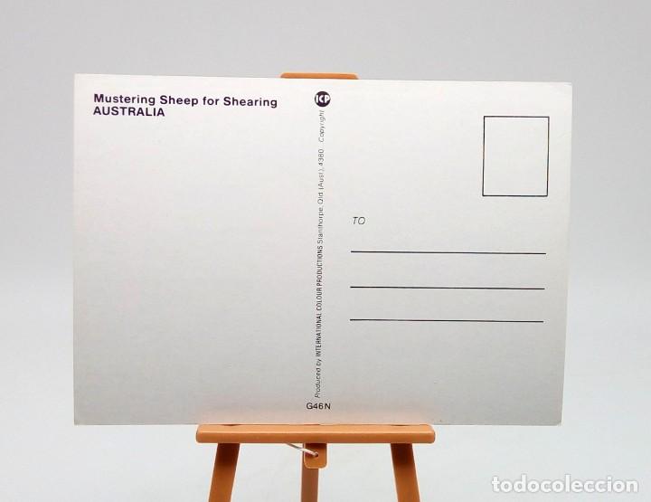 Postales: Postal 46 Australia - Foto 2