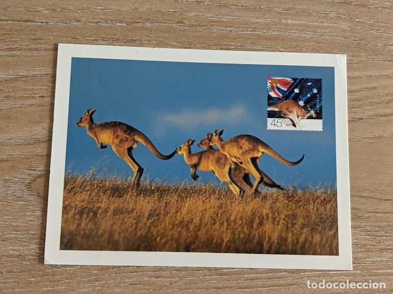 Postales: POSTAL CANGUROS - Foto 1