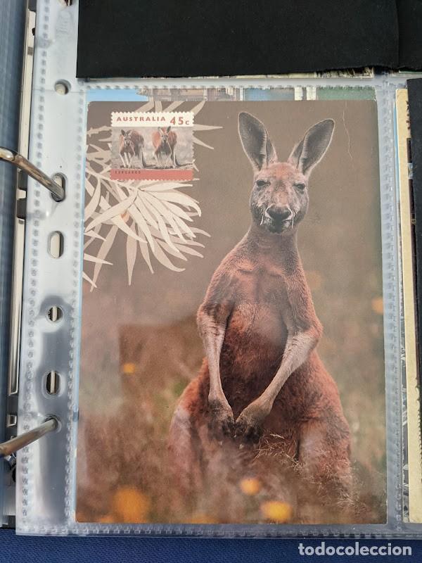 Postales: POSTAL Australia - Foto 1