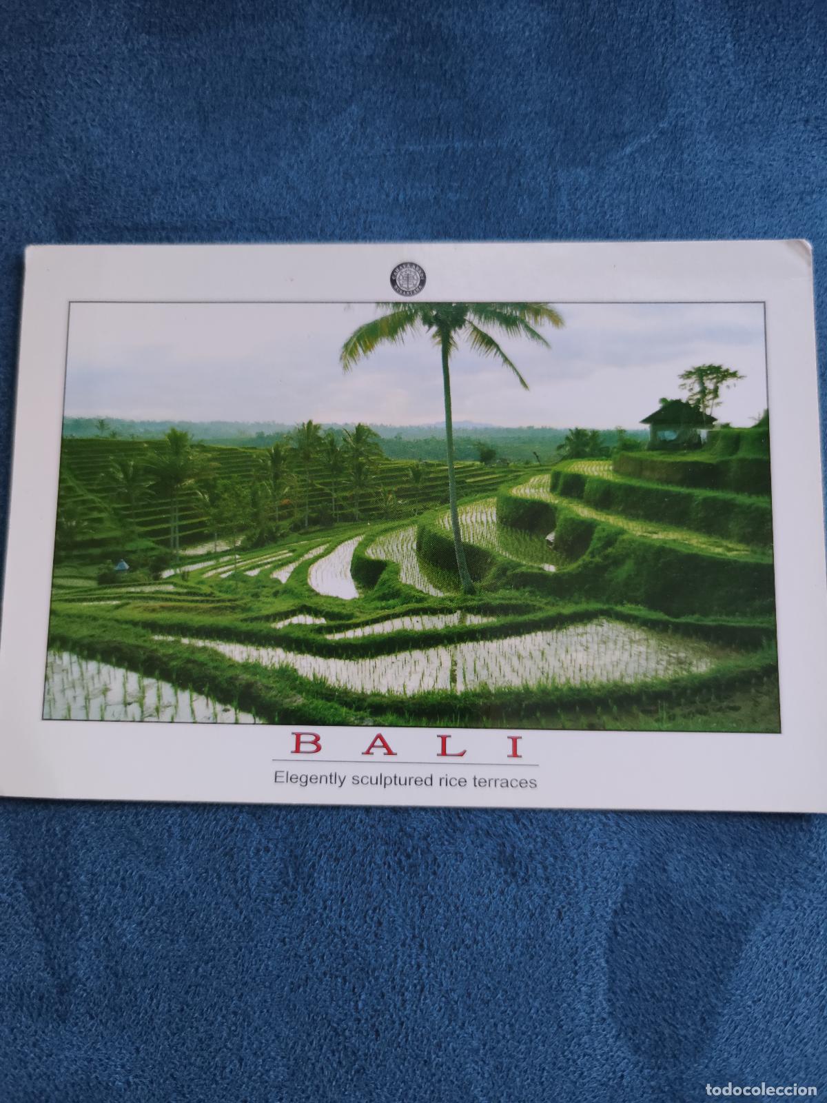 Postales: Lote de 2 Postales Nuevas, sin circular de Bali. - Foto 7