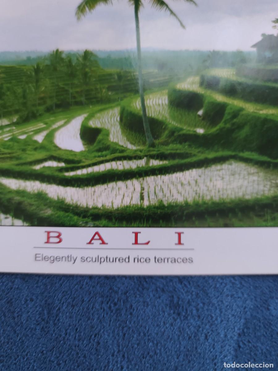 Postales: Lote de 2 Postales Nuevas, sin circular de Bali. - Foto 8