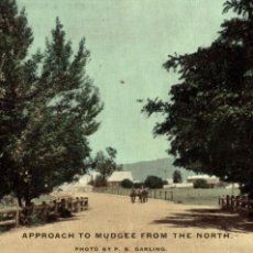 Postales: APPROACH TO MUDGEE FROM THE NORTH AUSTRALIA