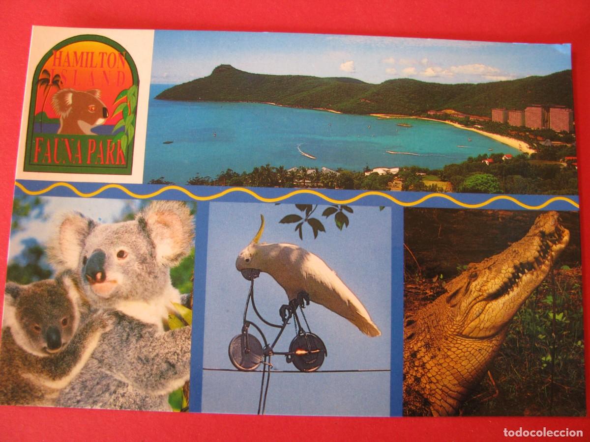 Postales: POSTAL DE AUSTRALIA. HAMILTON ISLAND. - Foto 1
