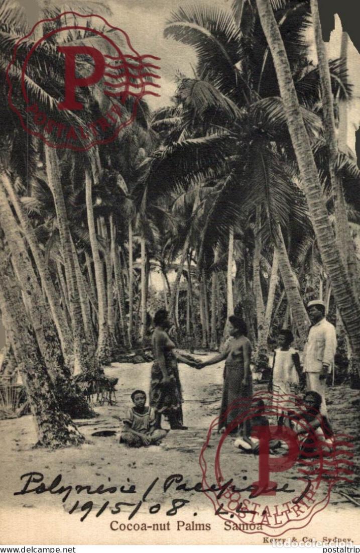 Postales: SAMOA. Cocoa-nut Palms - Foto 1