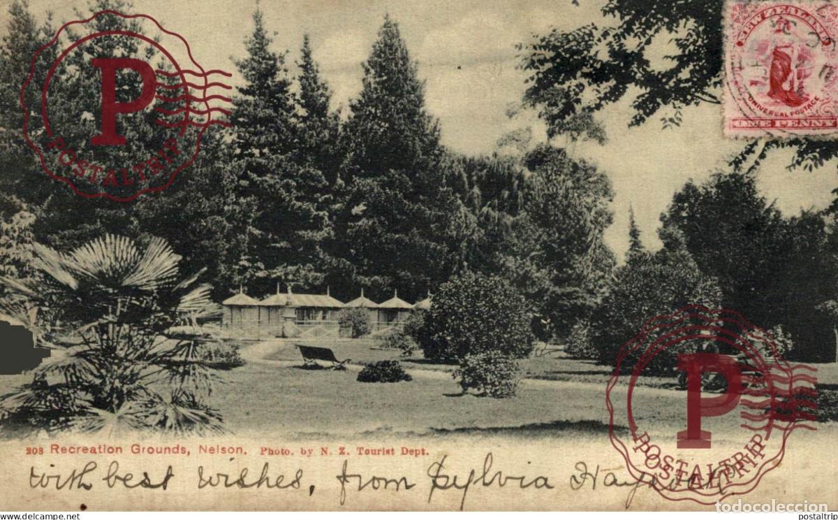 Postales: NUEVA ZELANDA. RECREATION GROUNDS, NELSON - Foto 1