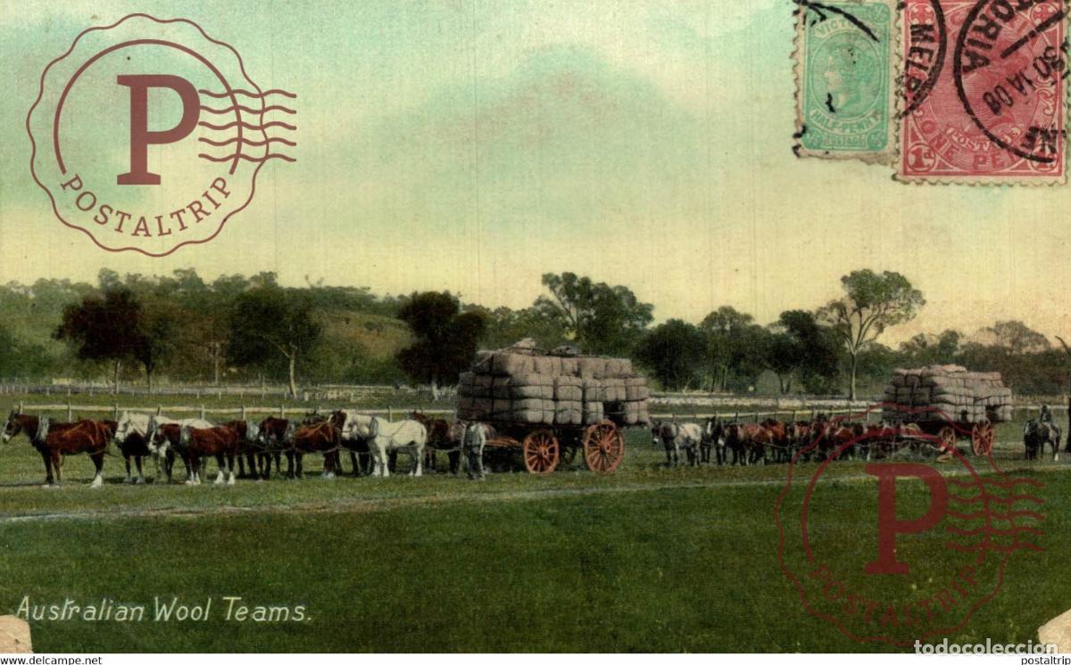 Postales: AUSTRALIAN WOOL TEAMS AUSTRALIA - Foto 1
