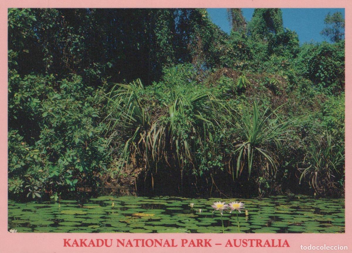 Postais: Australia Kakadu National Park Billabong Water Lilies Tropical Unposted *YAP793