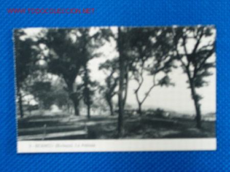 Postales: TARJETA POSTAL BERMEO - Foto 1
