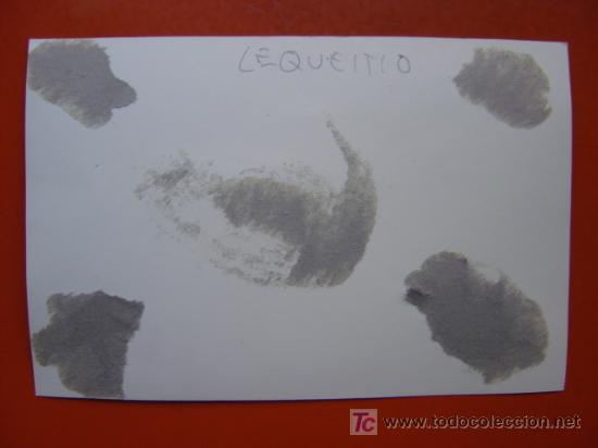 Postales: LEQUEITIO - Foto 2