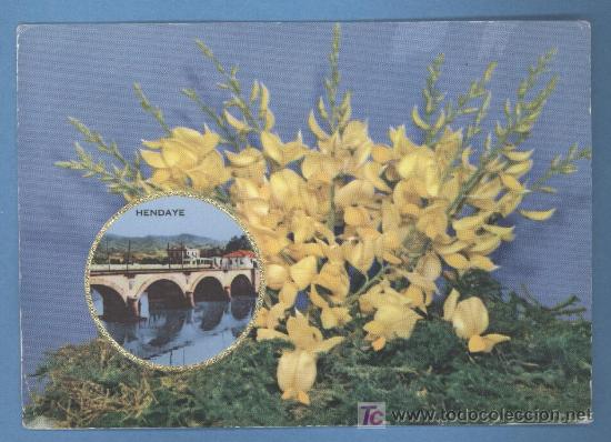 Postales: Hendaya - Foto 1