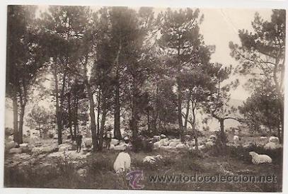 Postales: Plencia. Monte de Butr&oacute;n - Foto 1