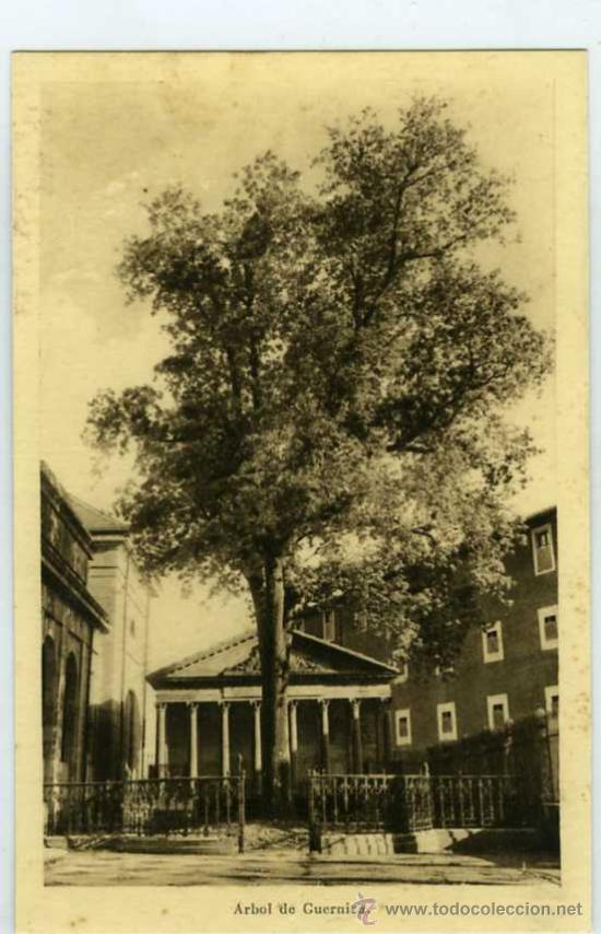 Postales: POSTAL ARBOL DE GUERNICA