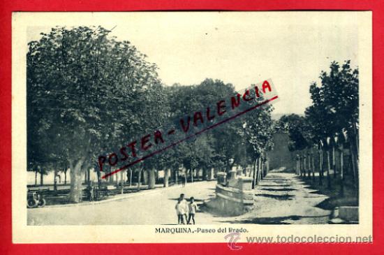 Postales: POSTAL MARQUINA, ALAVA, PASEO DEL PRADO,   P73269
