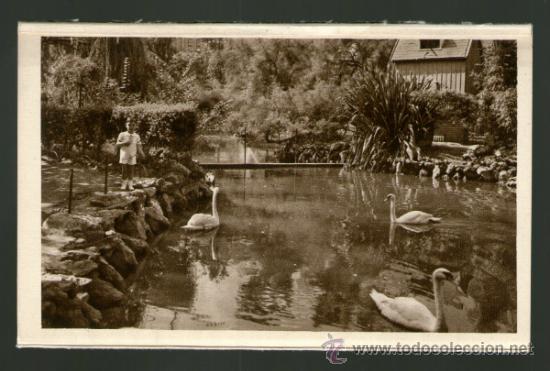 Postales: BILBAO ESTANQUE DEL PARQUE - EDICI&Oacute;N LUKER - Postal - Foto 1