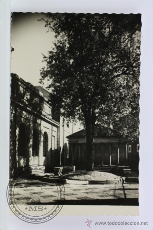Postales: Antigua Postal Fotogr&aacute;fica - 6. Guernica, Vizcaya. &Aacute;rbol Simb&oacute;lico - Sin Circular